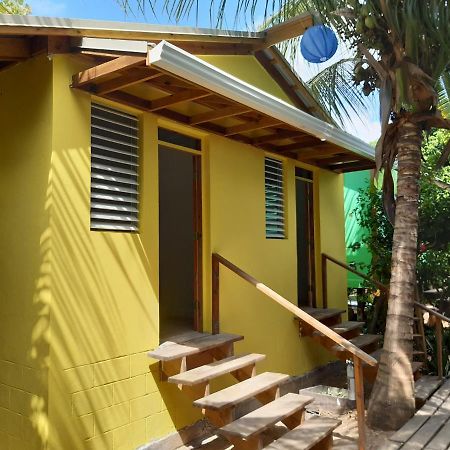 The Funky Dodo Backpackers Hostel ホプキンズ エクステリア 写真