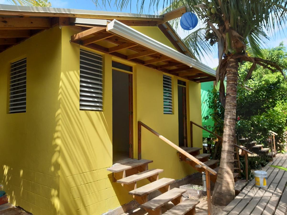 The Funky Dodo Backpackers Hostel ホプキンズ エクステリア 写真