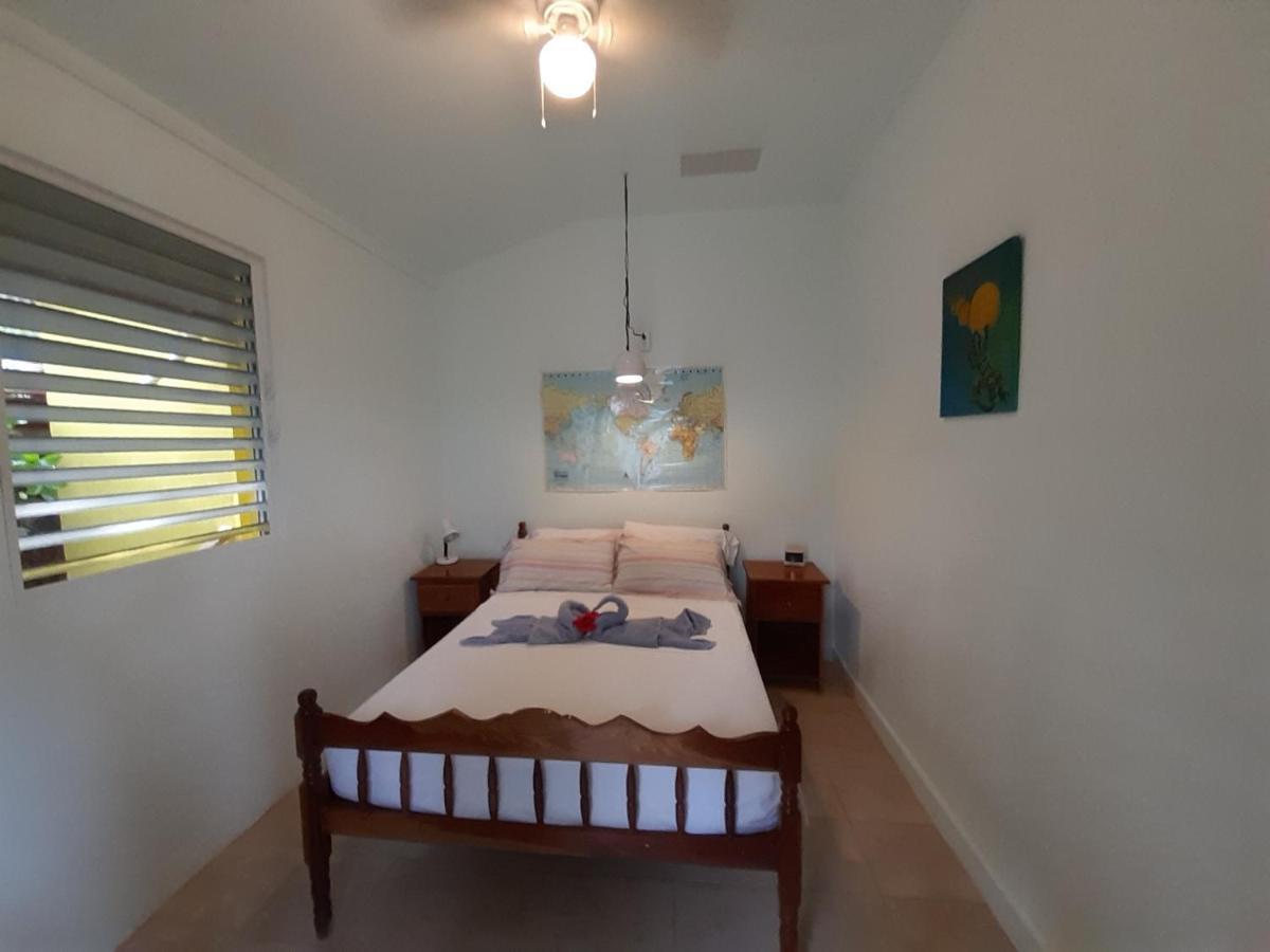 The Funky Dodo Backpackers Hostel ホプキンズ エクステリア 写真