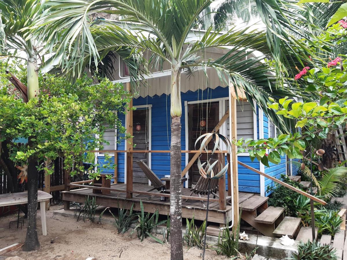 The Funky Dodo Backpackers Hostel ホプキンズ エクステリア 写真