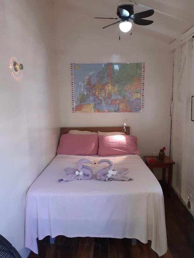 The Funky Dodo Backpackers Hostel ホプキンズ エクステリア 写真