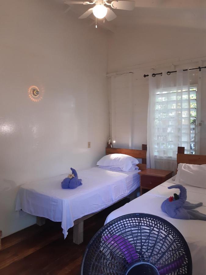 The Funky Dodo Backpackers Hostel ホプキンズ エクステリア 写真