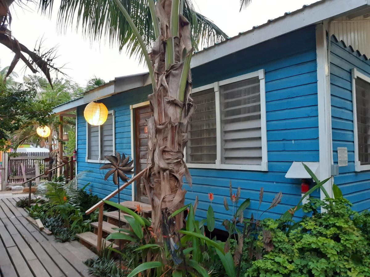 The Funky Dodo Backpackers Hostel ホプキンズ エクステリア 写真