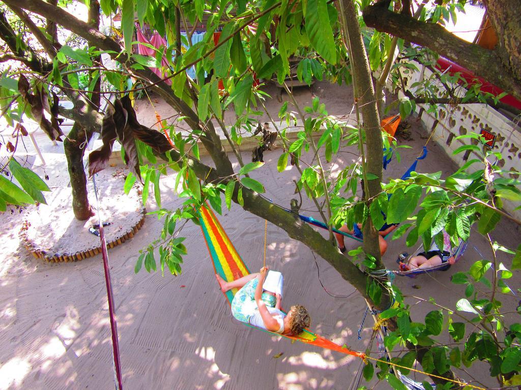 The Funky Dodo Backpackers Hostel ホプキンズ エクステリア 写真