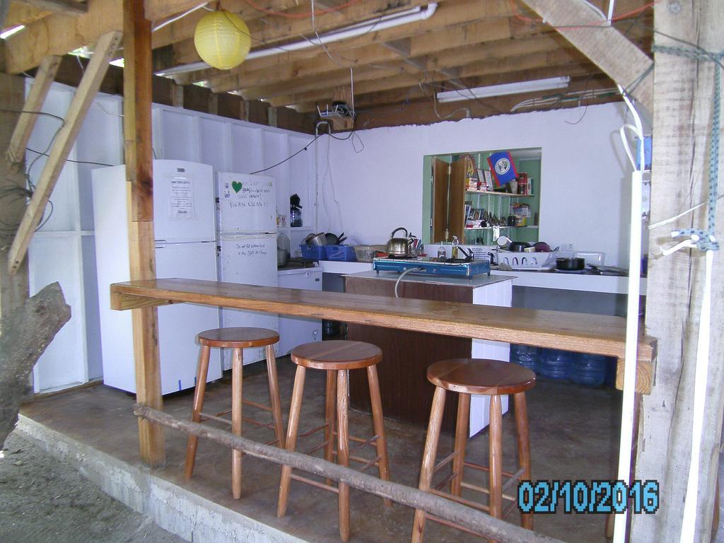 The Funky Dodo Backpackers Hostel ホプキンズ エクステリア 写真
