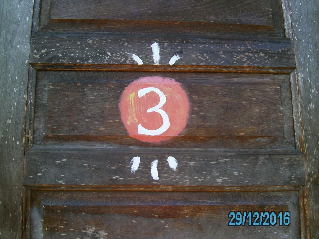 The Funky Dodo Backpackers Hostel ホプキンズ エクステリア 写真