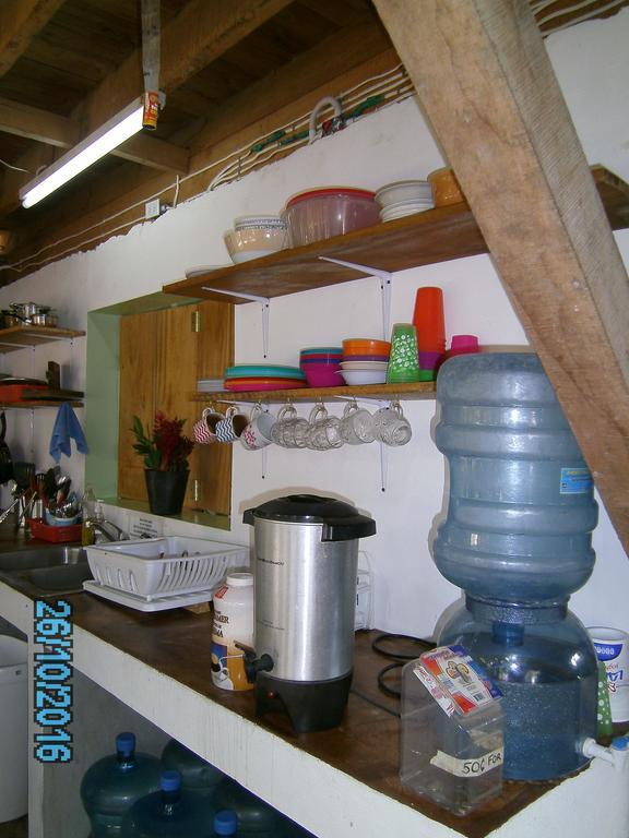 The Funky Dodo Backpackers Hostel ホプキンズ エクステリア 写真