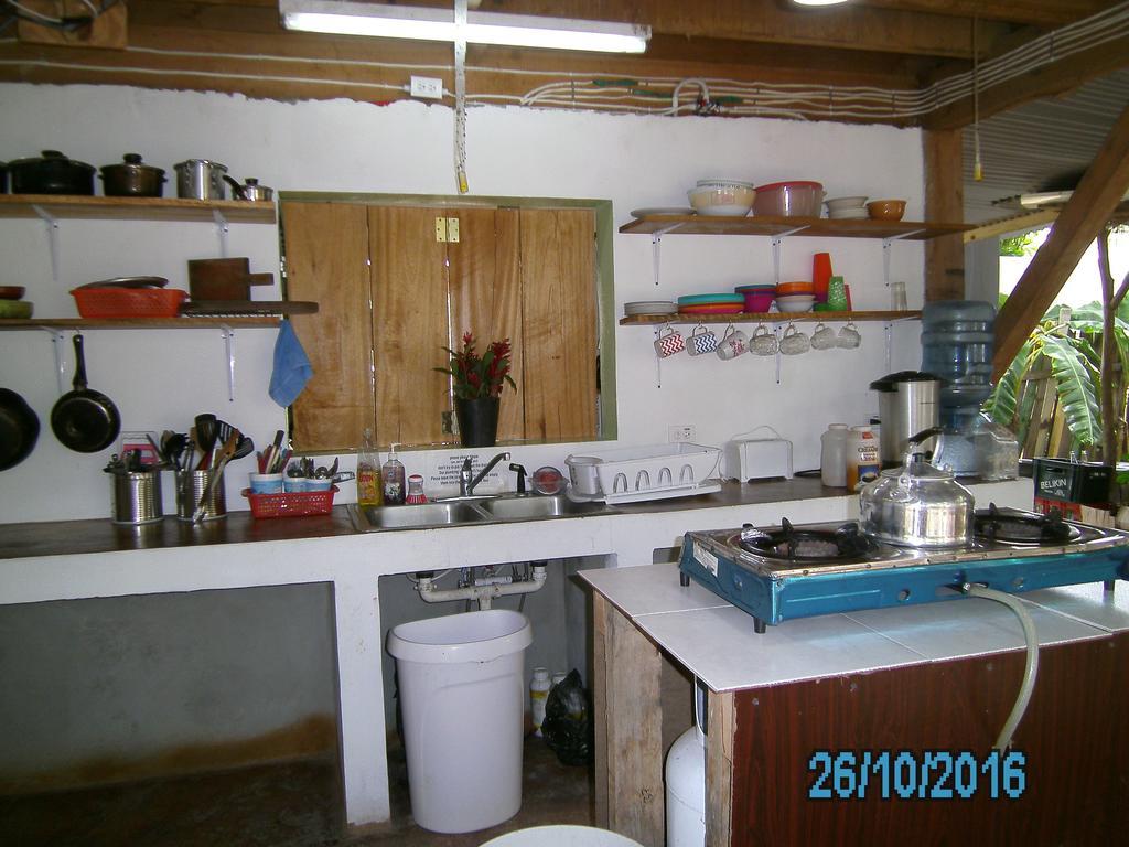 The Funky Dodo Backpackers Hostel ホプキンズ エクステリア 写真