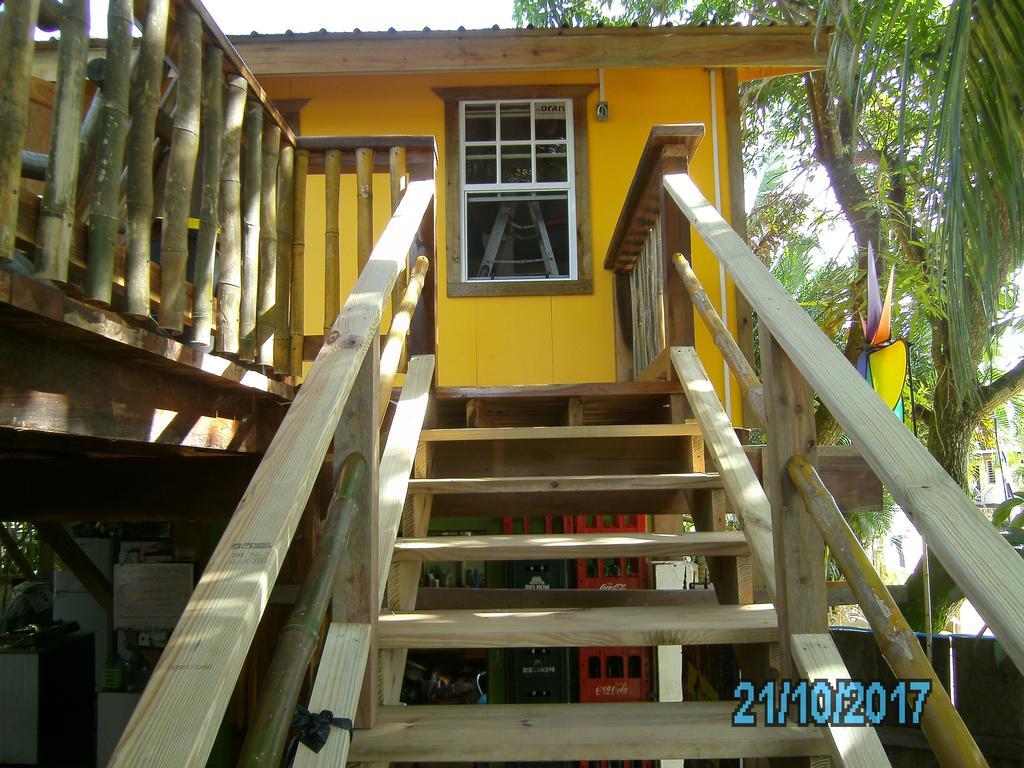 The Funky Dodo Backpackers Hostel ホプキンズ エクステリア 写真