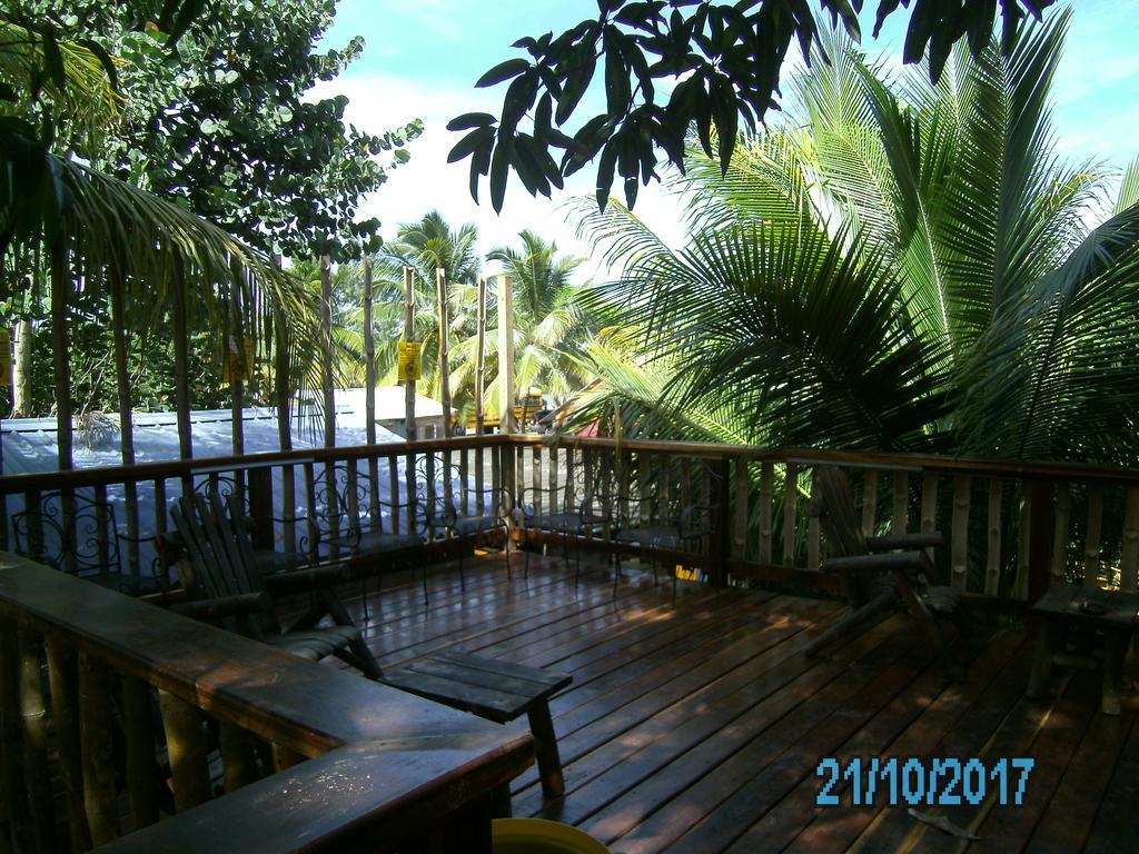 The Funky Dodo Backpackers Hostel ホプキンズ エクステリア 写真