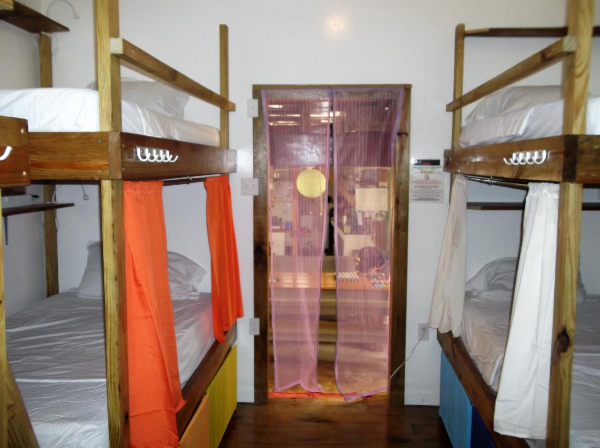 The Funky Dodo Backpackers Hostel ホプキンズ エクステリア 写真