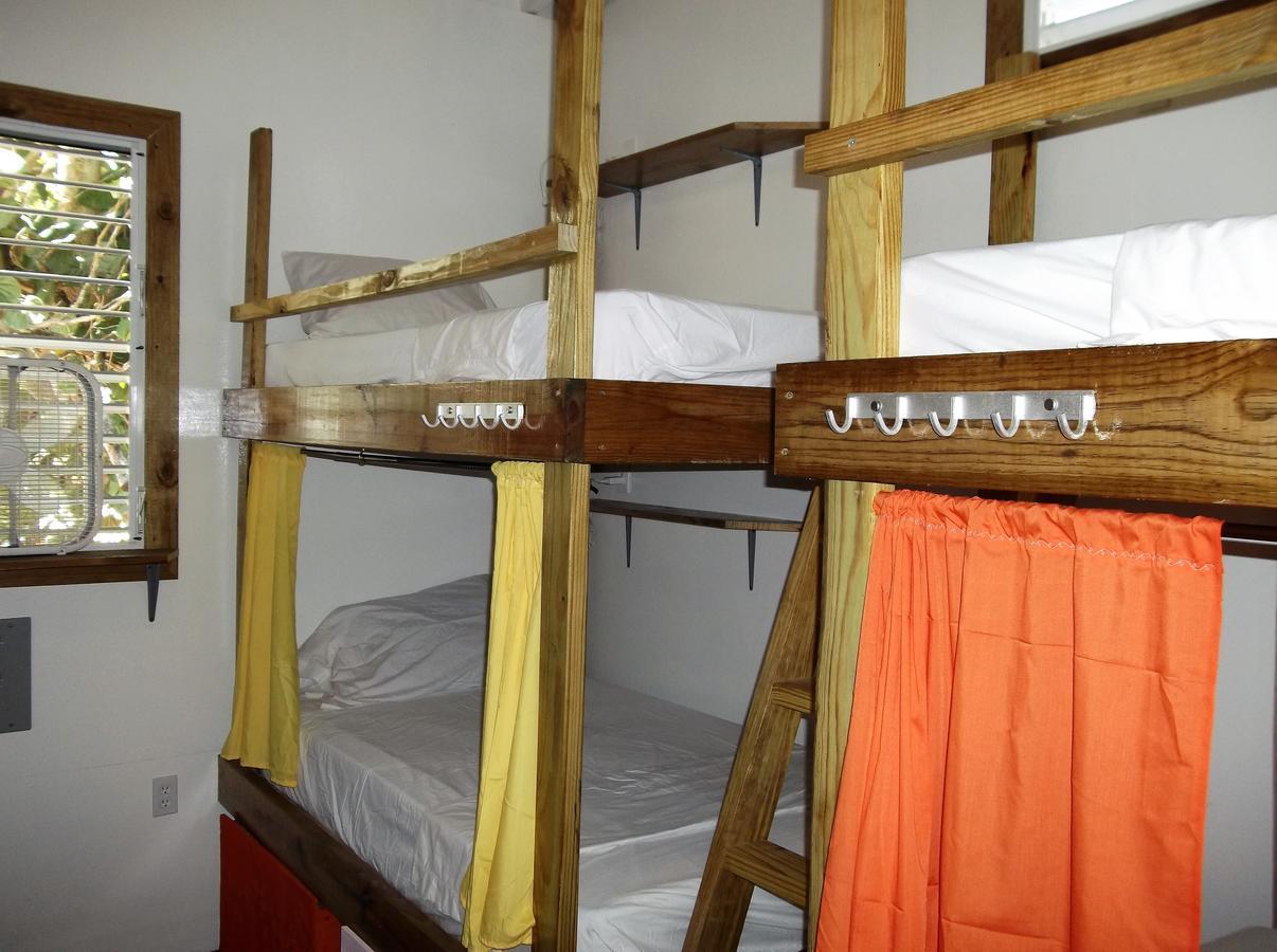 The Funky Dodo Backpackers Hostel ホプキンズ エクステリア 写真