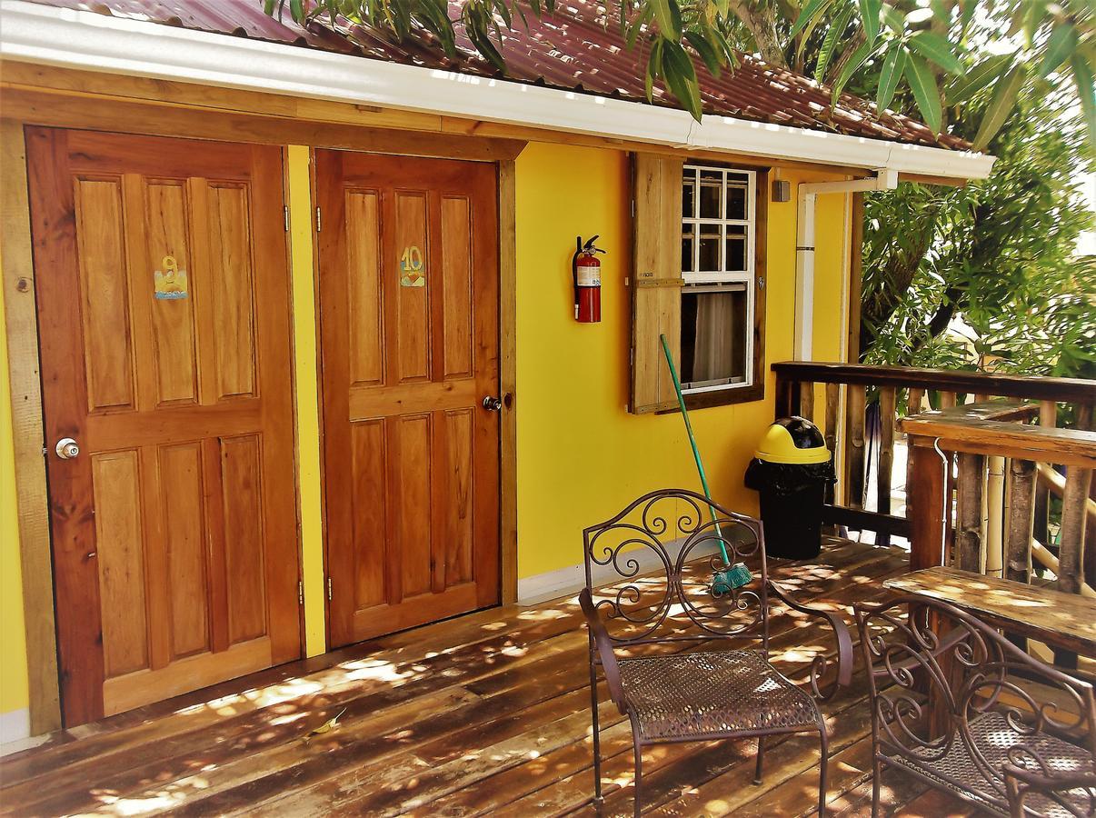 The Funky Dodo Backpackers Hostel ホプキンズ エクステリア 写真