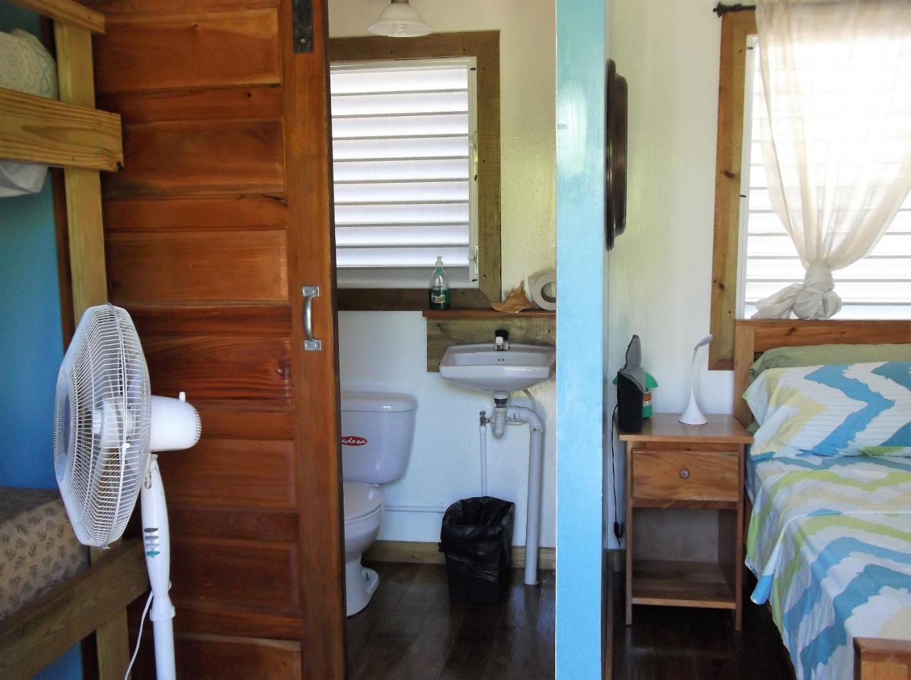 The Funky Dodo Backpackers Hostel ホプキンズ エクステリア 写真