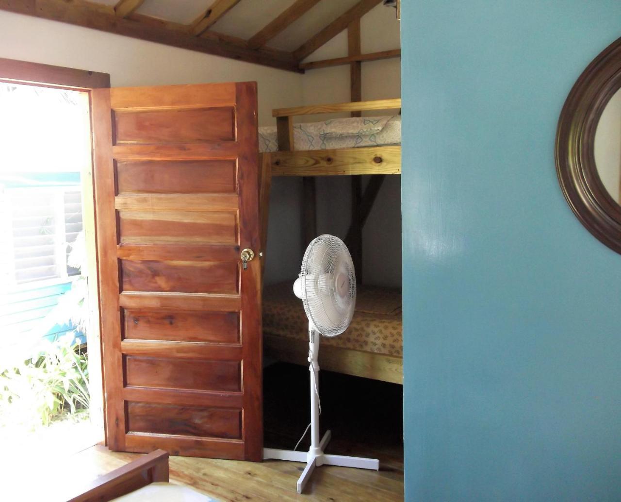The Funky Dodo Backpackers Hostel ホプキンズ エクステリア 写真