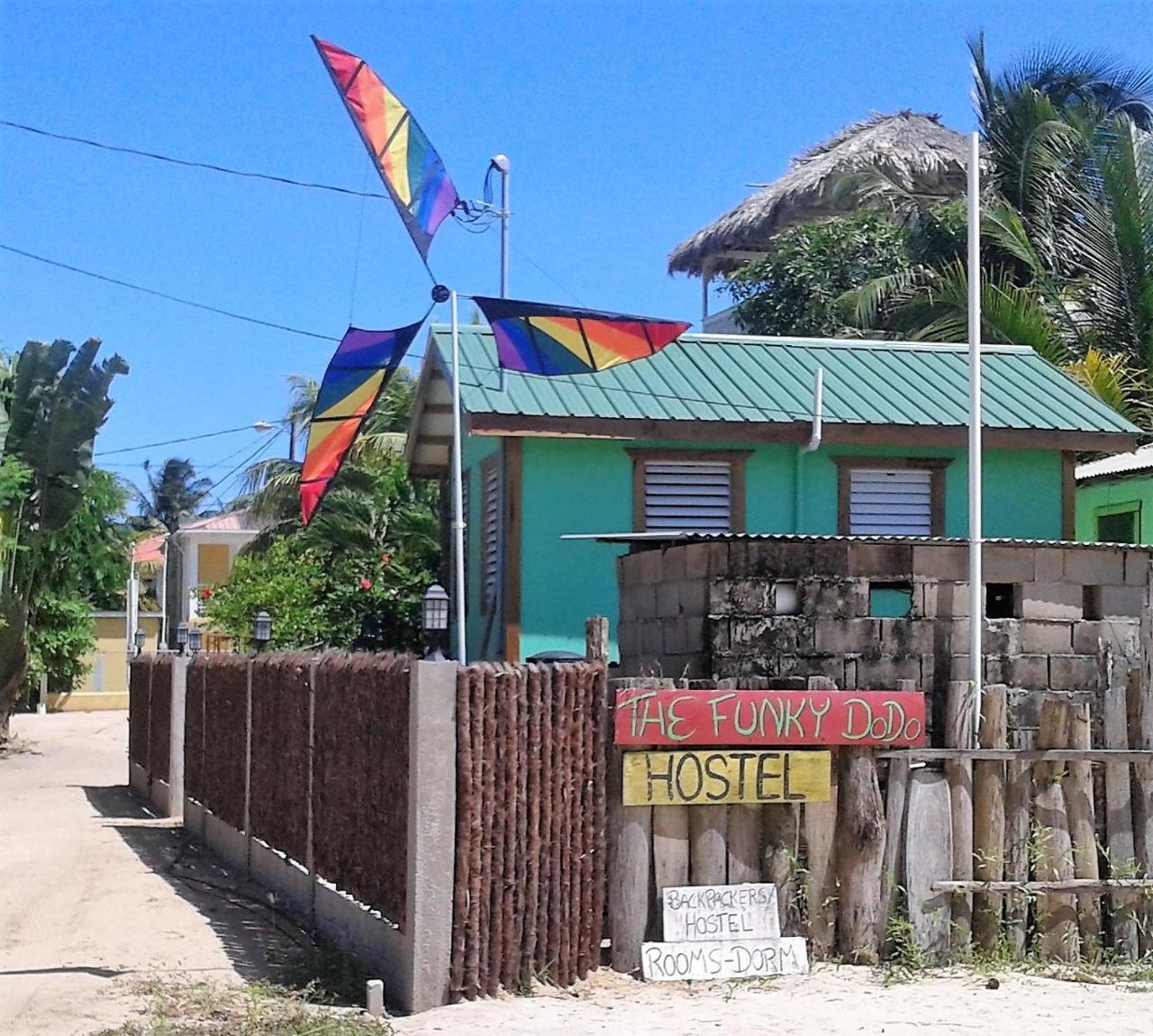 The Funky Dodo Backpackers Hostel ホプキンズ エクステリア 写真