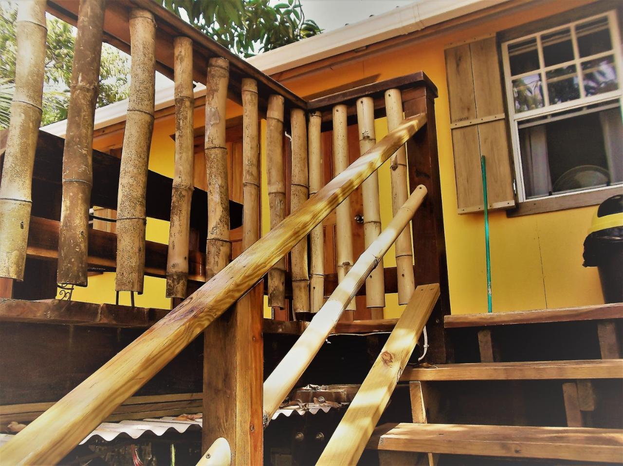 The Funky Dodo Backpackers Hostel ホプキンズ エクステリア 写真