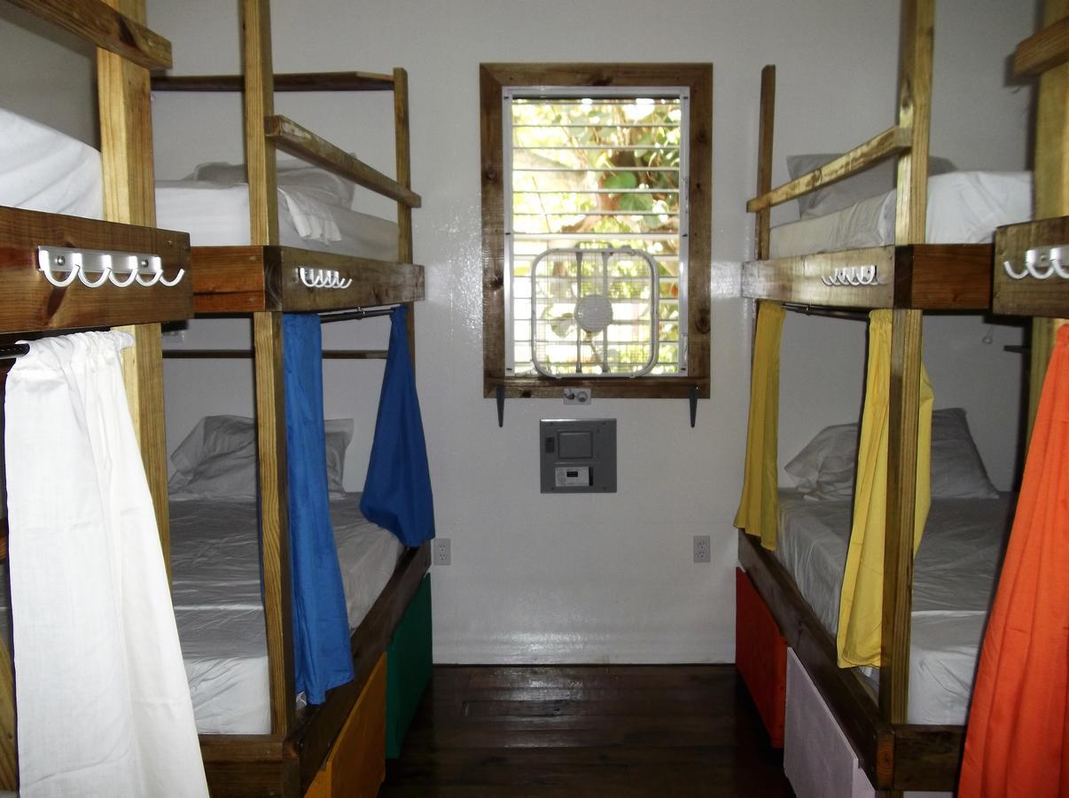 The Funky Dodo Backpackers Hostel ホプキンズ エクステリア 写真