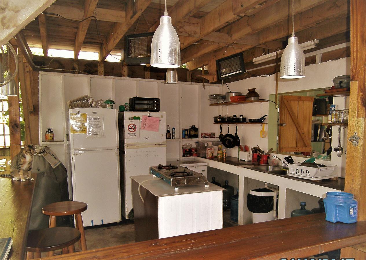 The Funky Dodo Backpackers Hostel ホプキンズ エクステリア 写真