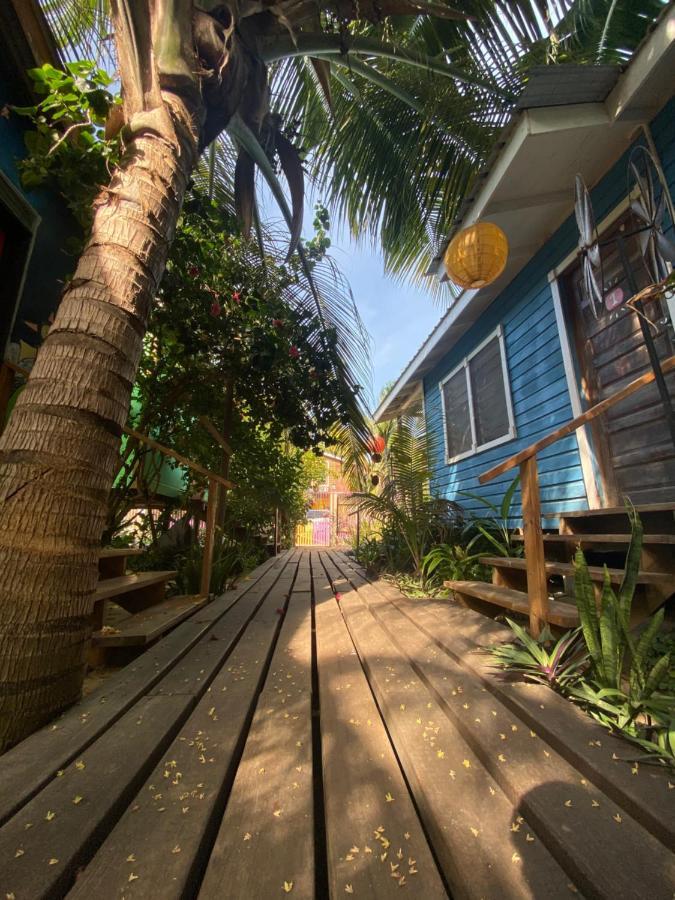 The Funky Dodo Backpackers Hostel ホプキンズ エクステリア 写真