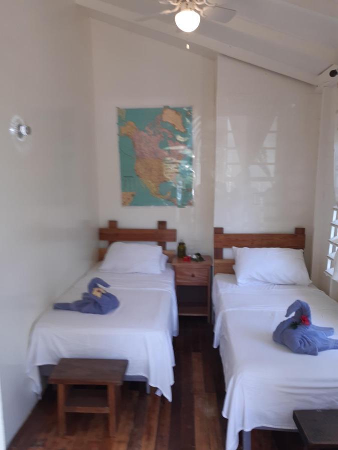 The Funky Dodo Backpackers Hostel ホプキンズ エクステリア 写真