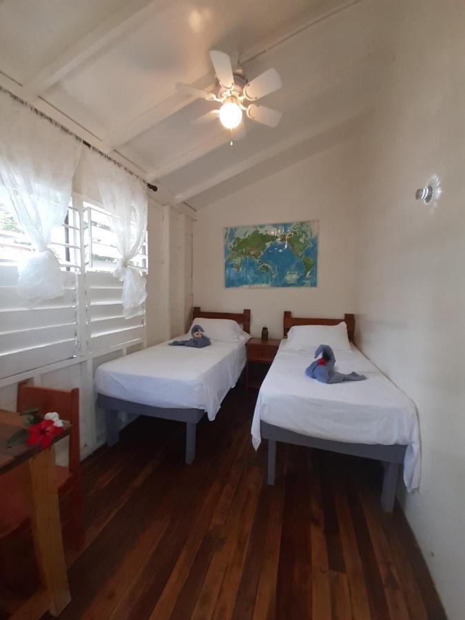 The Funky Dodo Backpackers Hostel ホプキンズ エクステリア 写真