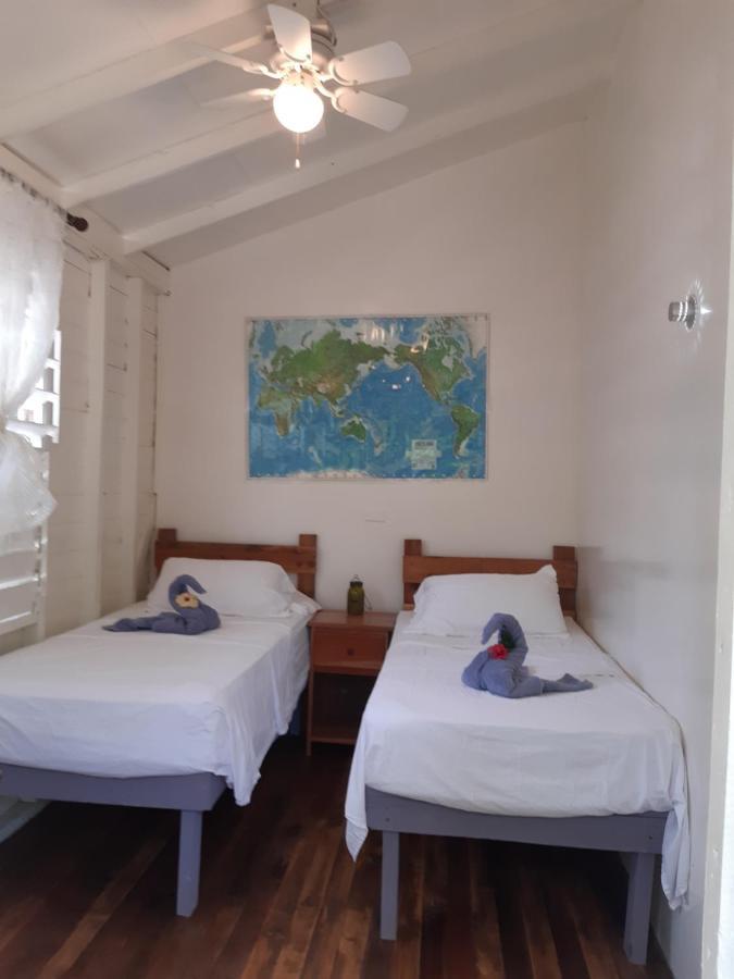 The Funky Dodo Backpackers Hostel ホプキンズ エクステリア 写真
