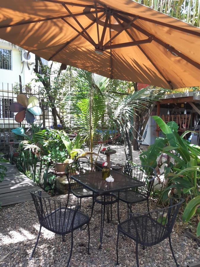 The Funky Dodo Backpackers Hostel ホプキンズ エクステリア 写真