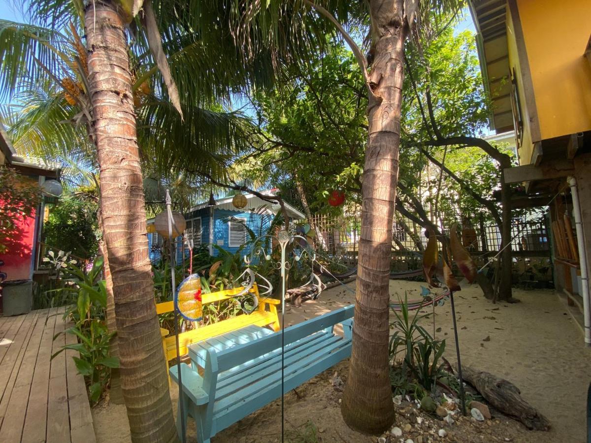 The Funky Dodo Backpackers Hostel ホプキンズ エクステリア 写真