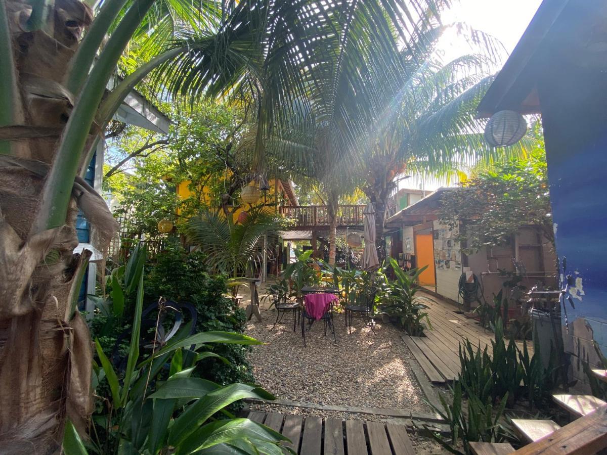 The Funky Dodo Backpackers Hostel ホプキンズ エクステリア 写真