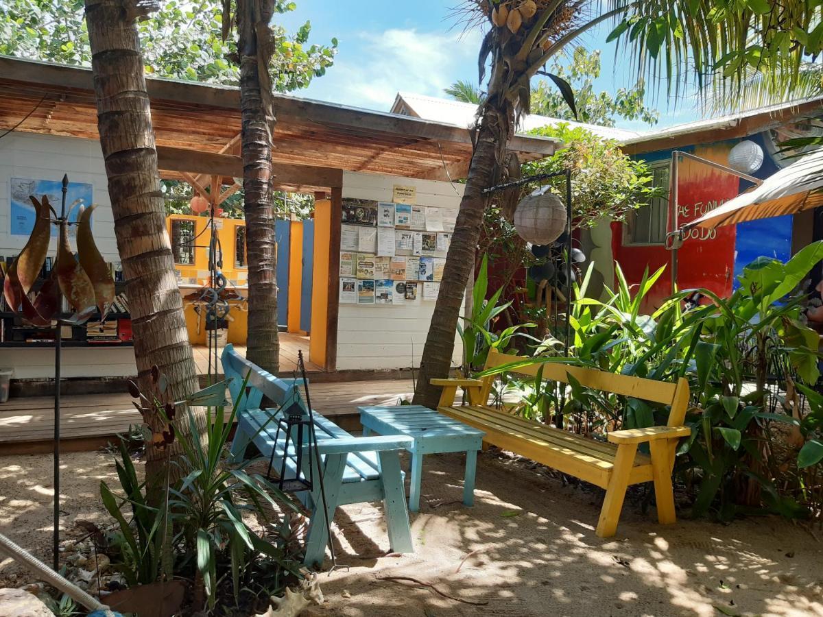 The Funky Dodo Backpackers Hostel ホプキンズ エクステリア 写真