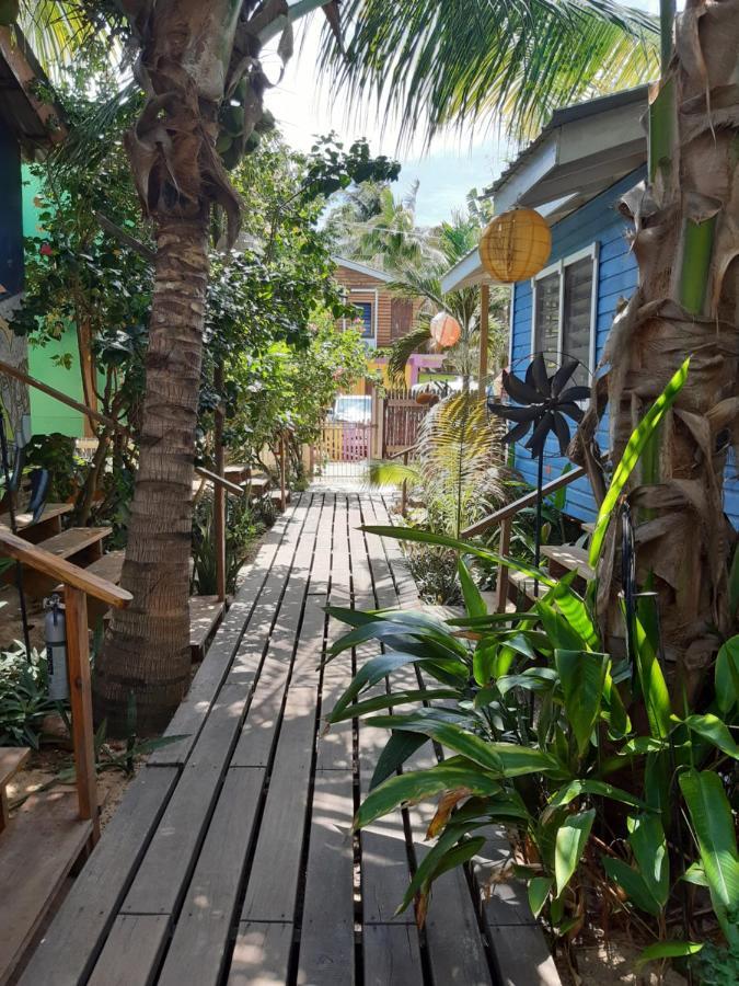 The Funky Dodo Backpackers Hostel ホプキンズ エクステリア 写真