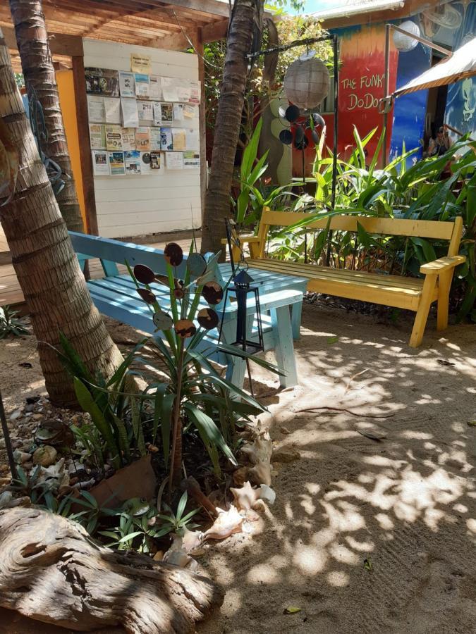 The Funky Dodo Backpackers Hostel ホプキンズ エクステリア 写真