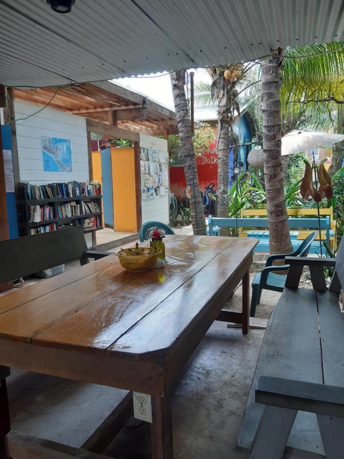The Funky Dodo Backpackers Hostel ホプキンズ エクステリア 写真