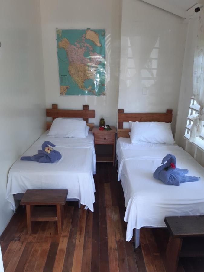 The Funky Dodo Backpackers Hostel ホプキンズ エクステリア 写真