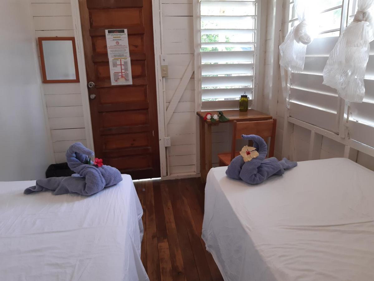 The Funky Dodo Backpackers Hostel ホプキンズ エクステリア 写真