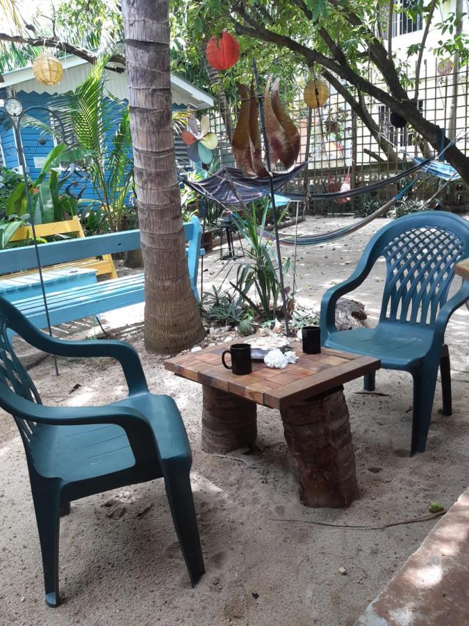 The Funky Dodo Backpackers Hostel ホプキンズ エクステリア 写真