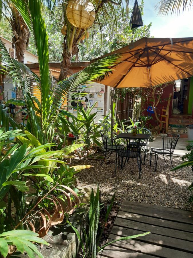 The Funky Dodo Backpackers Hostel ホプキンズ エクステリア 写真